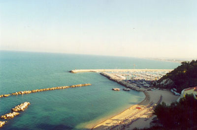 num_alta
