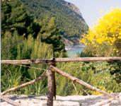 parcohome